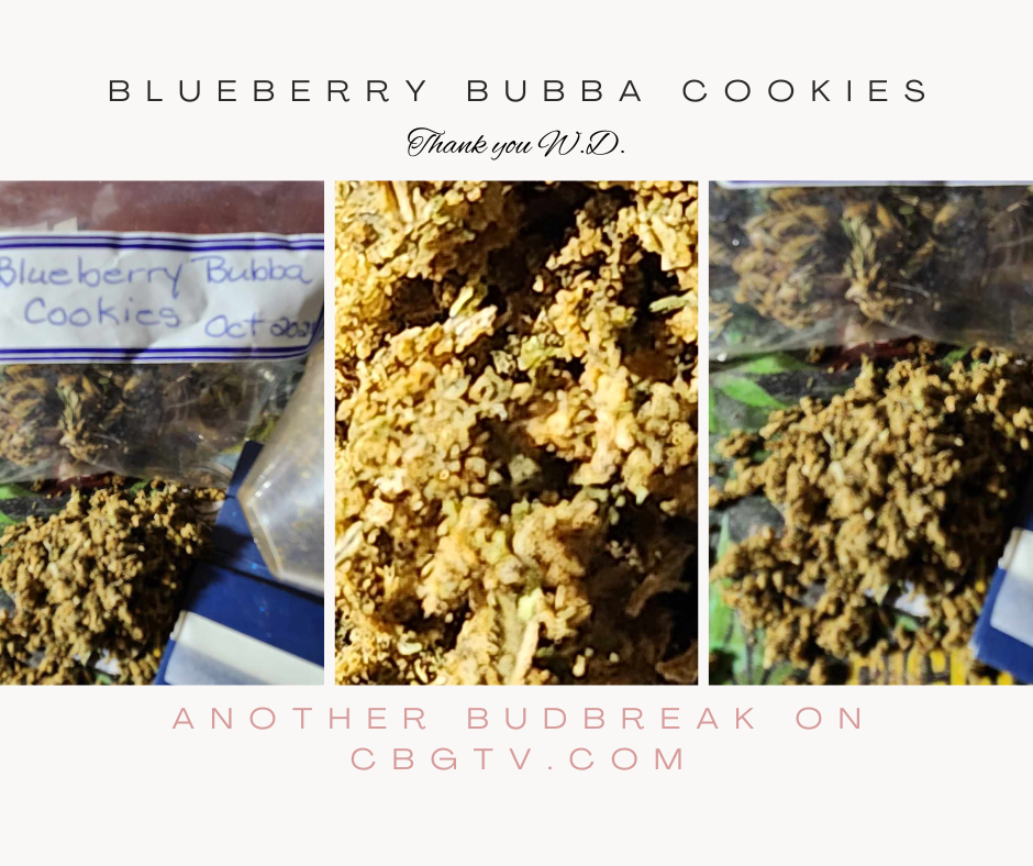 Bud Break: Blueberry Bubba Cookies