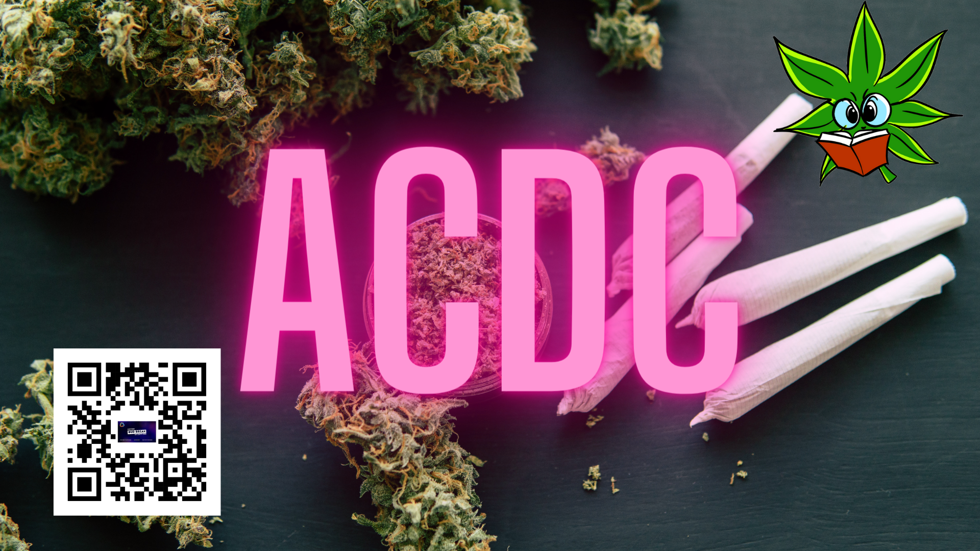 Bud Break with ACDC: a hybrid high in CBD