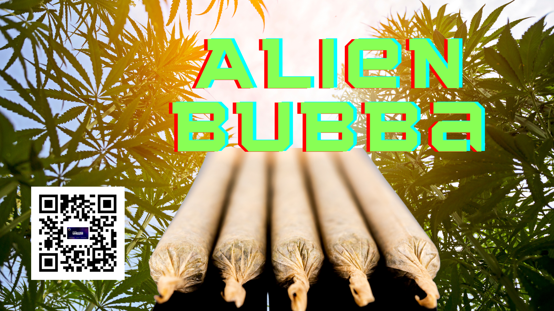 Bud Break with Alien Bubba: a unique and powerful hybrid.