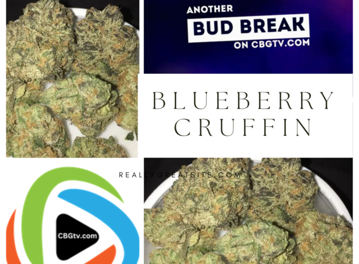 Bud Break: Blueberry Cruffin