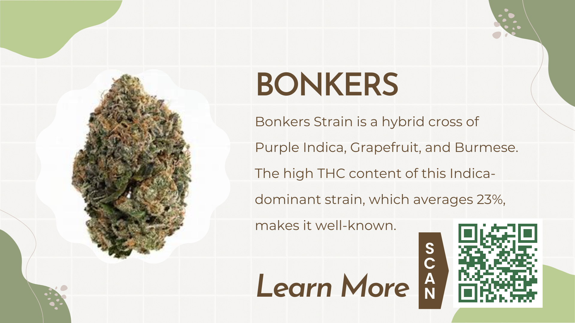 Bud Break: Bonkers