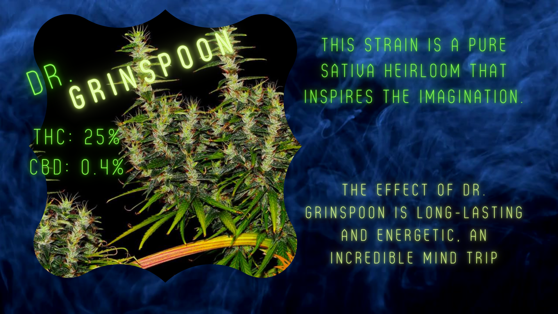 Bud Break: Dr. Grinspoon