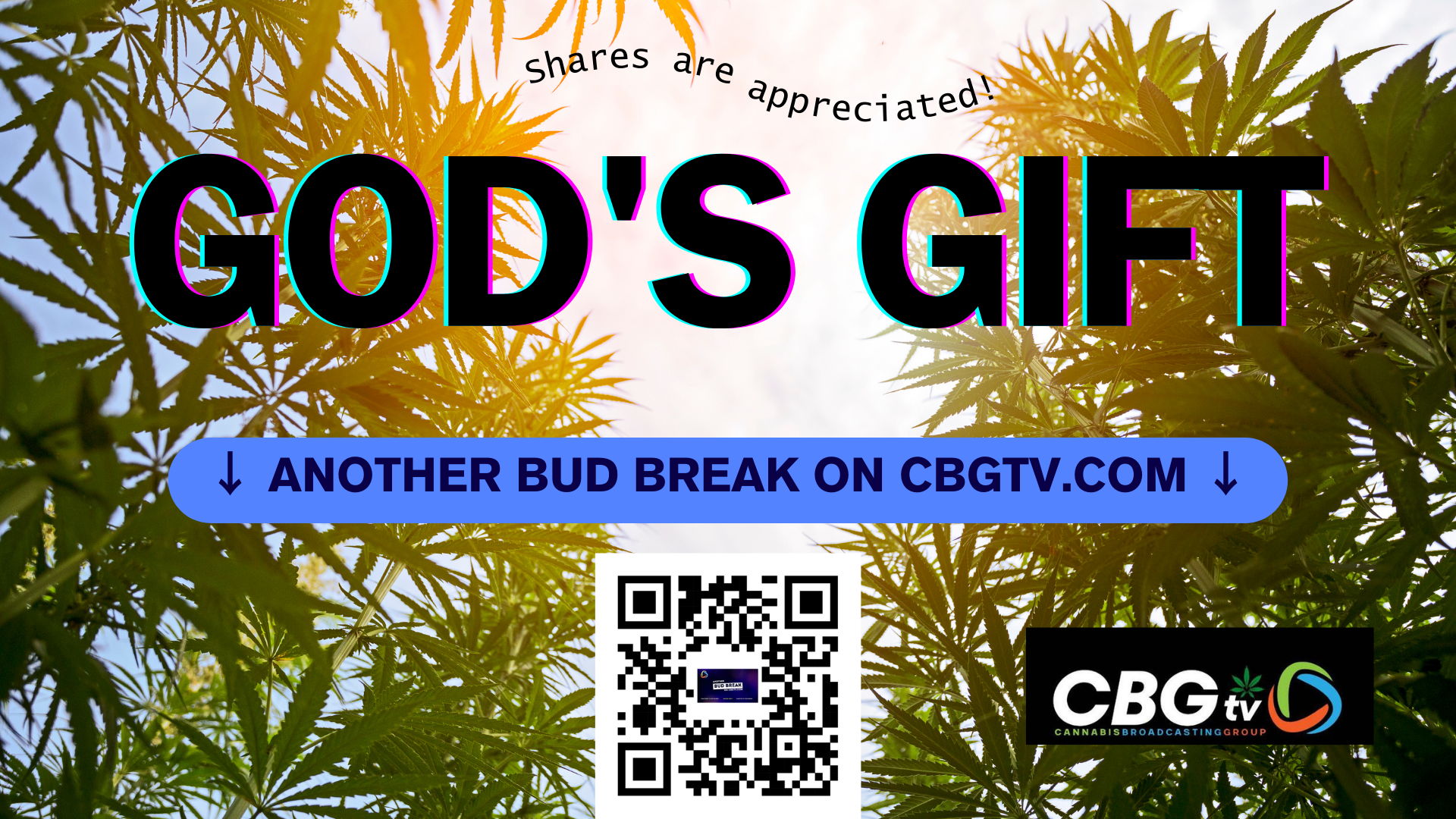 Bud Break: God’s Gift a High Indica Strain