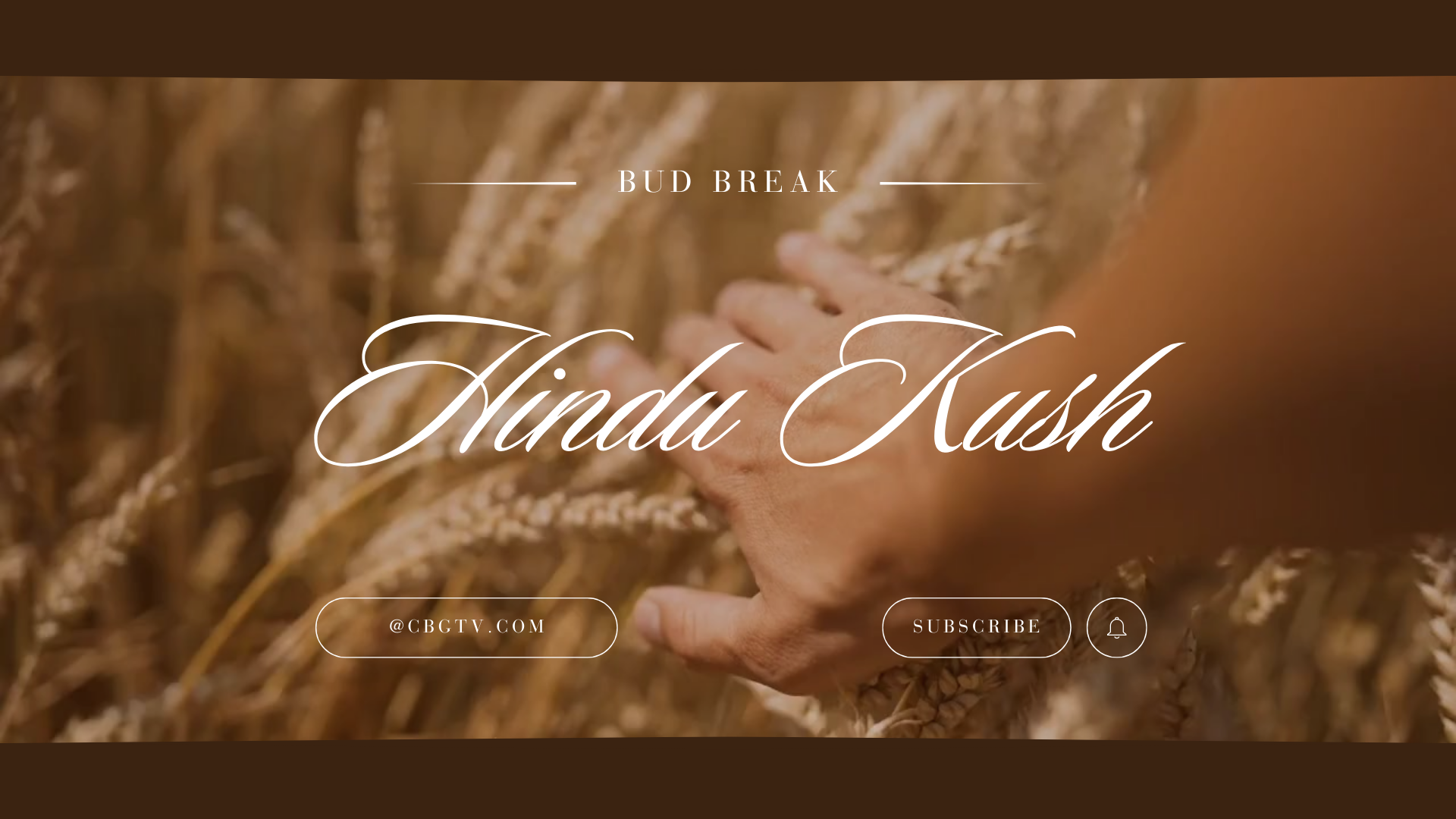 Bud Break with Hindu Kush