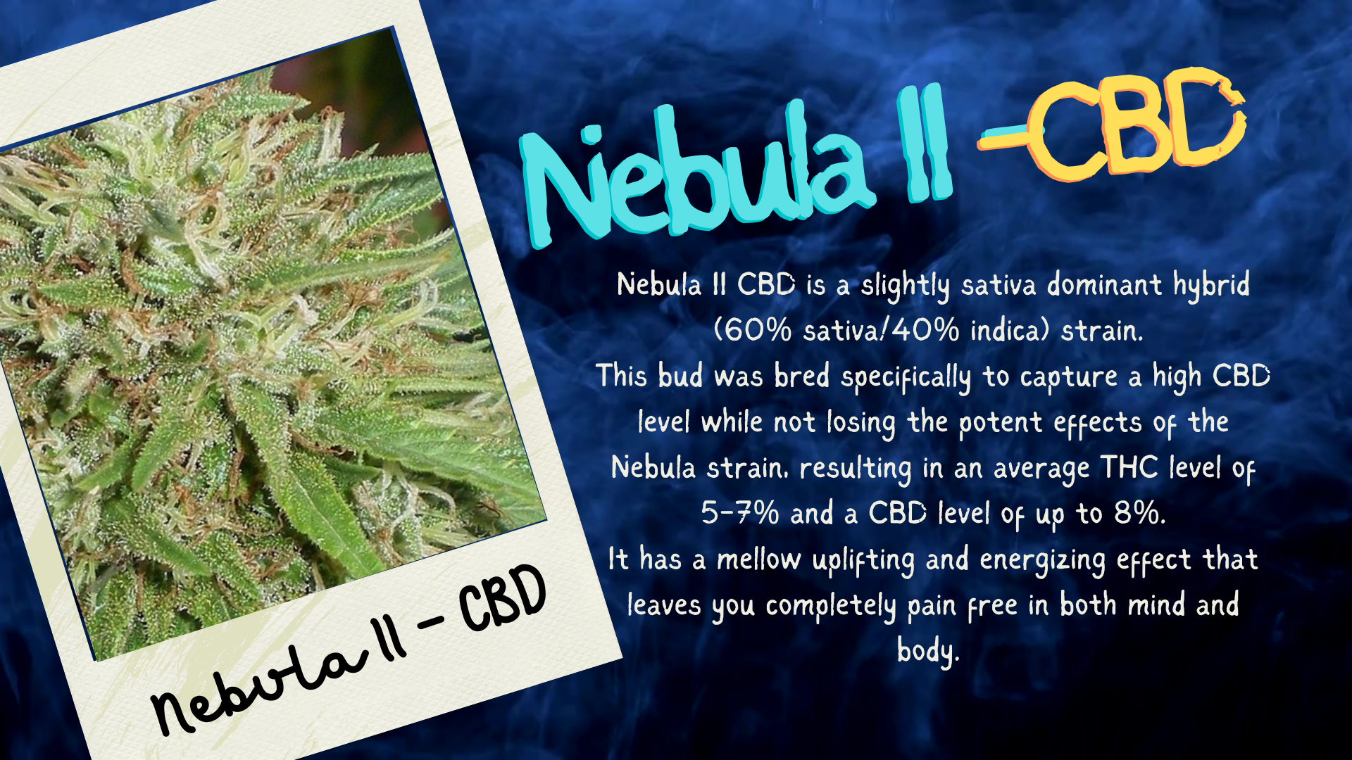 Bud Break – Nebula II – CBD