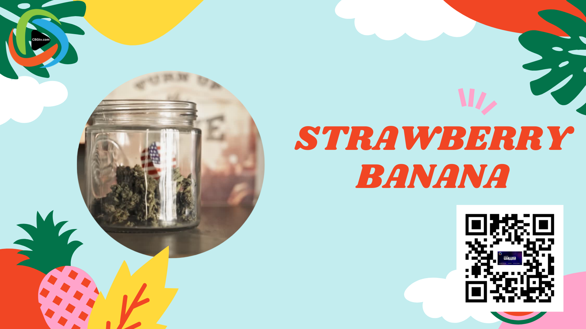 Strawberry Banana isn't just a strain; it's a flavor-packed journey that elevates the cannabis experience to new heights.