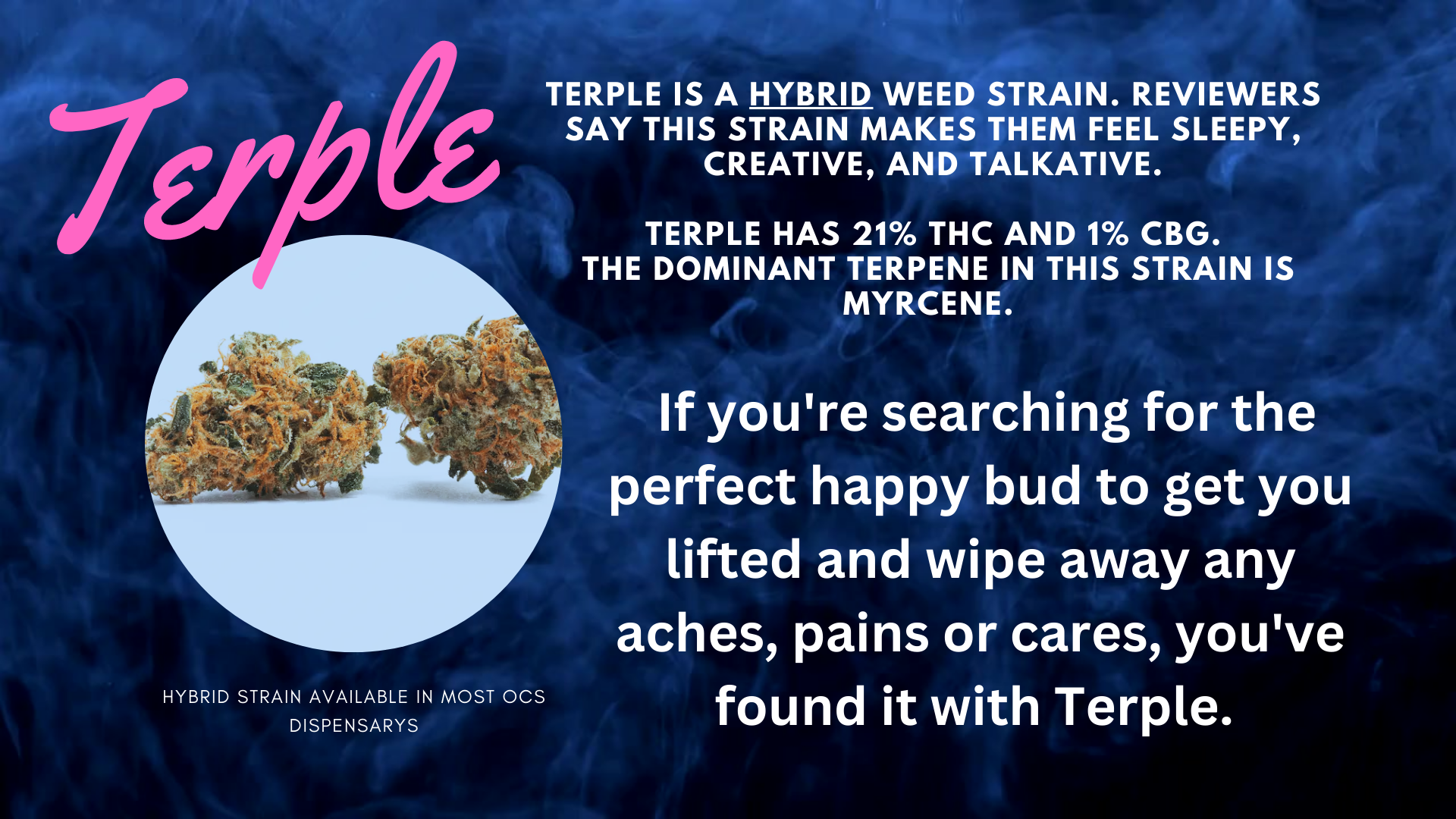 Bud Break with Terple A delightful favorite