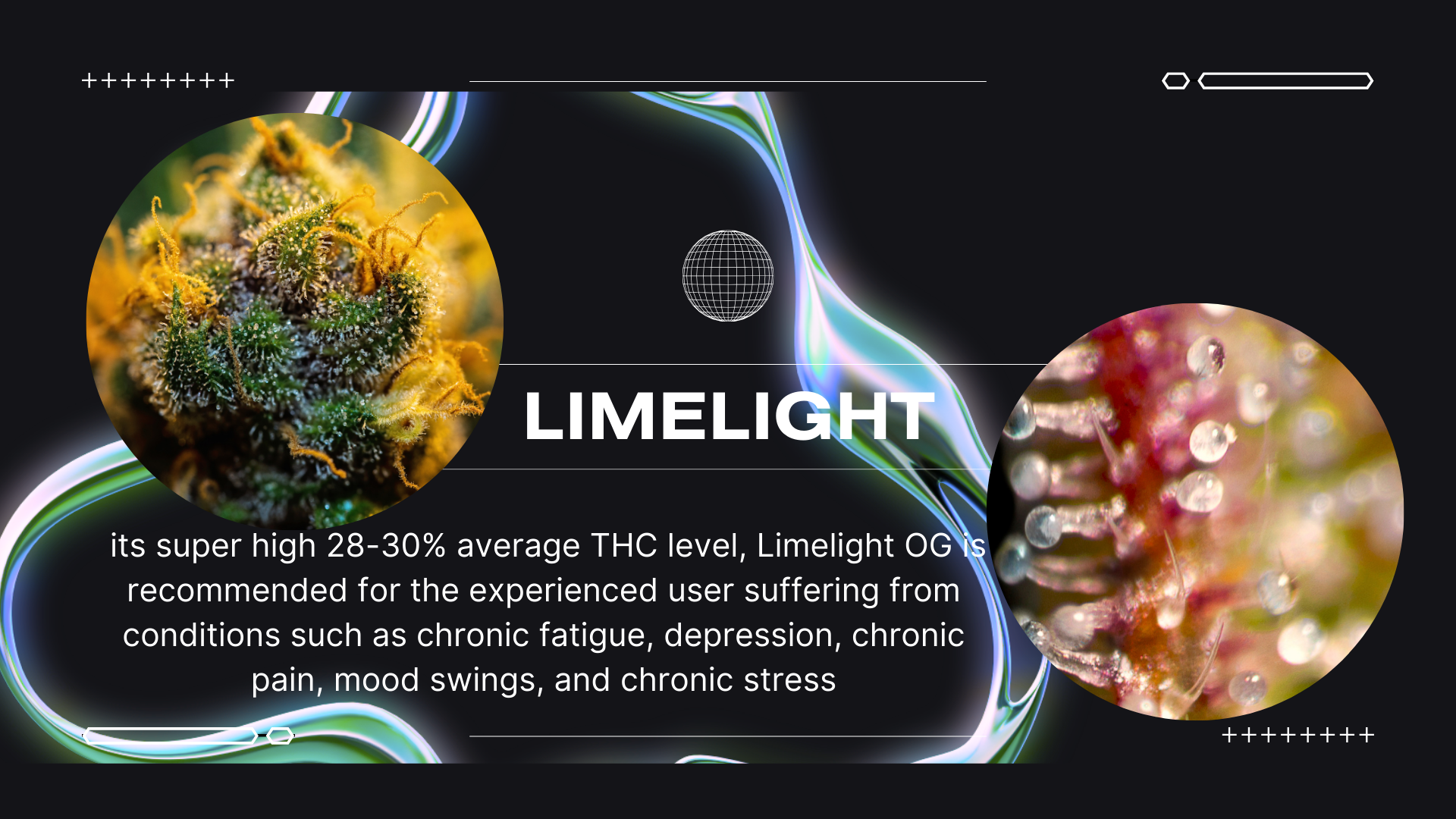 its super high 28-30% average THC level, Limelight OG is recommended for the experienced user suffering from conditions such as chronic fatigue, depression, chronic pain, mood swings, and chronic stress