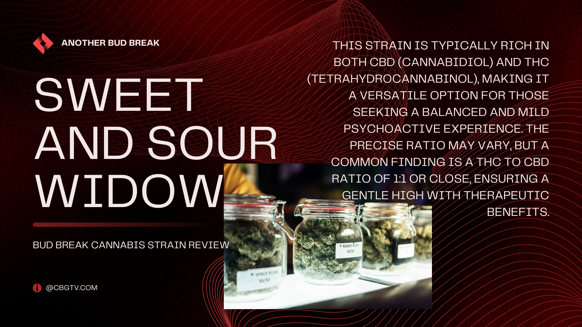 Beyond the recreational aspect, the therapeutic benefits of Sweet and Sour Widow are worth noting. The balanced CBD and THC content make it an ideal candidate for managing various conditions. Users have reported relief from anxiety, stress, and mild to moderate pain without the sedative effects commonly associated with high-THC strains. The strain's anti-inflammatory properties also contribute to its appeal for individuals dealing with chronic pain or discomfort.